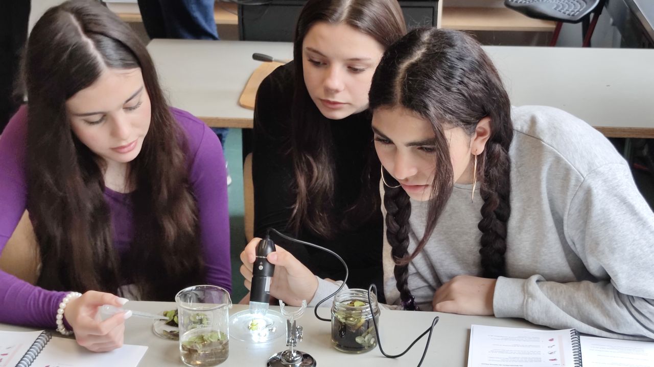 Schülerinnen beim Experimentieren